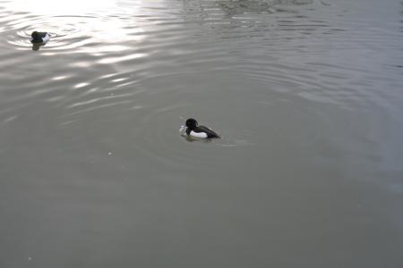 img005.jpeg.medium.jpeg