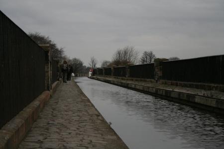img032.jpeg.medium.jpeg