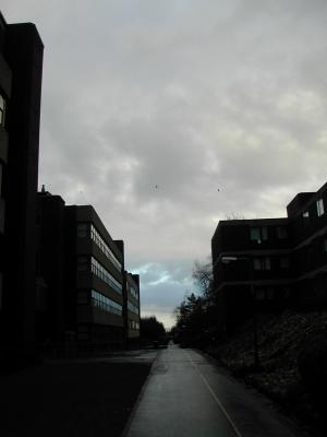 img257.jpeg.medium.jpeg
